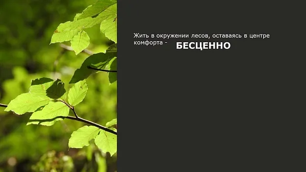 Премьер